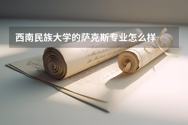 西南民族大学的萨克斯专业怎么样