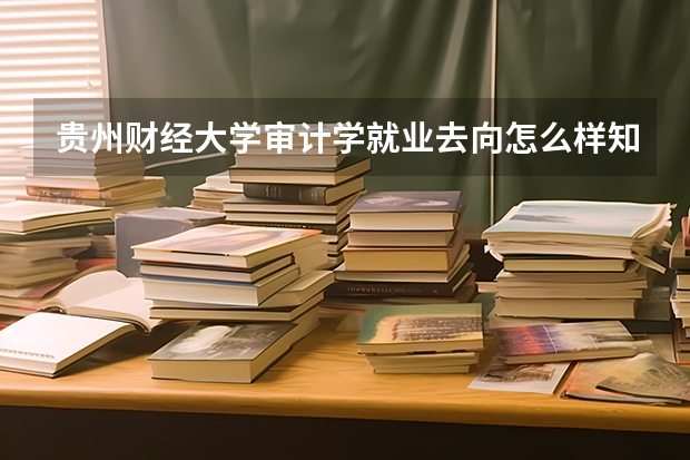 贵州财经大学审计学就业去向怎么样知乎？