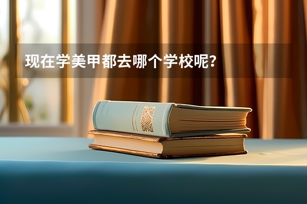 现在学美甲都去哪个学校呢？